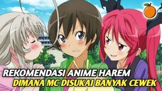 3 Anime Harem Dimana Tokoh Utama Dikelilingi Banyak Cewek Cantik‼️