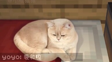 Mẹ ơi con về rồi!