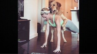 Collection Of The Most Clumsy Dogs On The Planet 🤣🌎 || Funny Animals