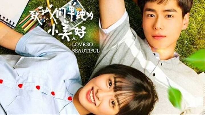 A_Love_So_Beautiful_1