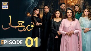 Noor Jahan | Episode 01 | Saba Hameed - Kubra Khan | ARY Digital