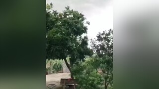 giaitri kienthanhlich vuinhon tana xuhuong