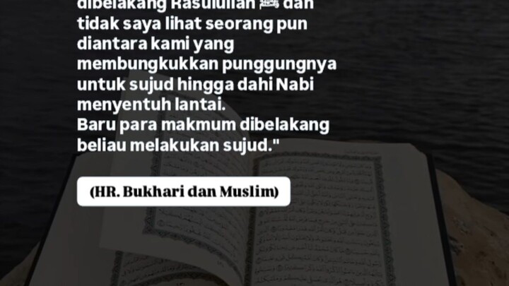 Penjelasannya ada di bawah.