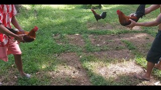 Sparring 2021 Triple Dragon Farm