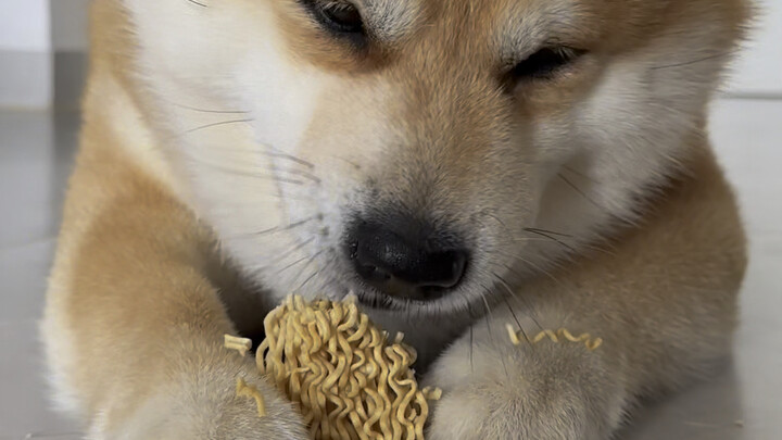Xiao Bagga loves eating crispy snacks
