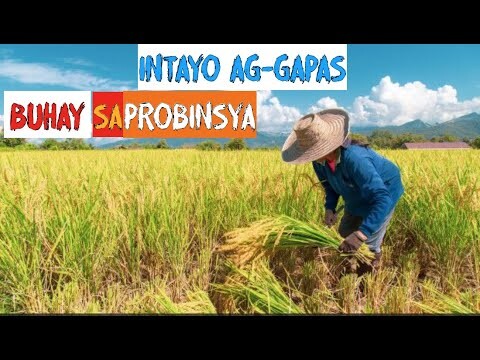 INTAYO AGGAPAS | Buhay Probinsya | Province Life 3 Kanlungan Cover
