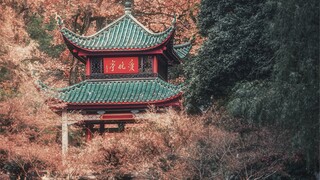 As long as you observe carefully, even the most unremarkable scenery can reveal its own unique vanta