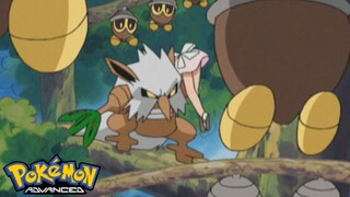 Pokémon AG Tập 313: Người đẹp và quái vật!? Dirteng và cô Joy! (Thuyết Minh)
