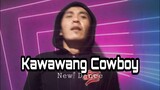 Kawawang Cowboy New Dance