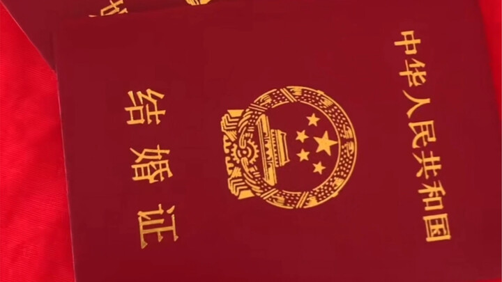 比丁克更超前的思想出现了！！只生孩子不领证…