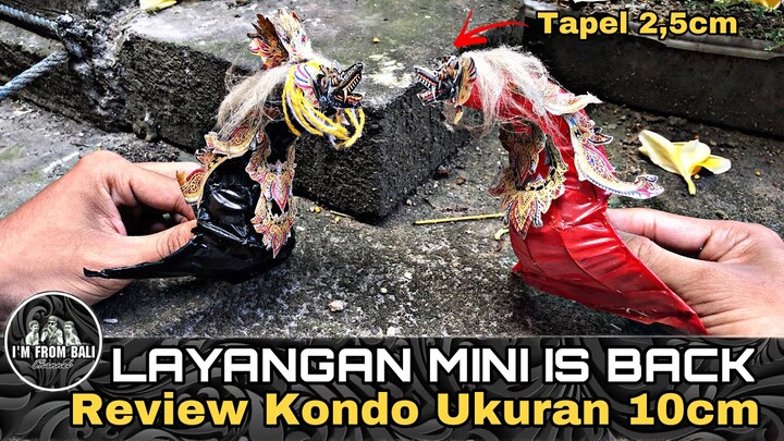 KONDISI KONDO LAYANGAN JANGGAN MINI SIZE SETELAH 1 TAHUN. MASIH BAGUS DAN RAPI