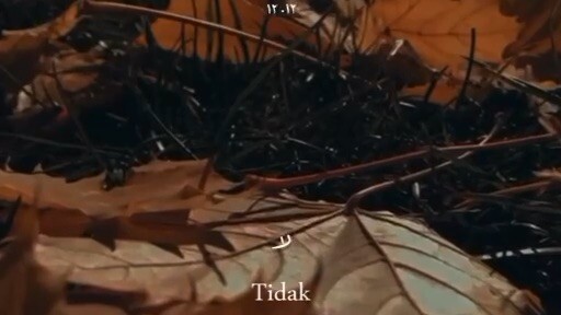 Imam ibnul Qoyyim Berkata