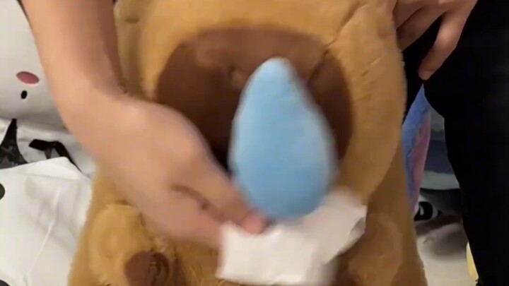 Family, what do I do—my capybara’s got a runny nose!