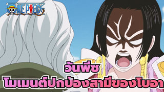 วันพีซ: จักรพรรดินีปกป้อง"สามี" 
ในชีวิตประจำวัน!