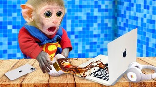 Smart Monkey Bi Bon drinks coffee and cleans the toilet in the morning | Funny Animals Monkey Video