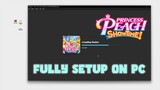 Fully Setup & Play Princess Peach Showtime! on Windows 11 PC