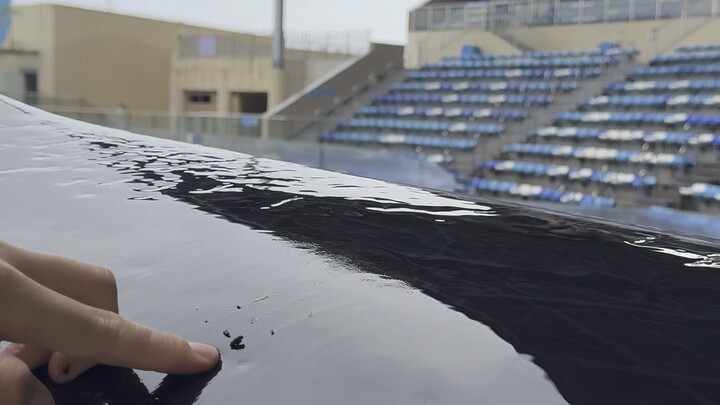 The orca’s bath‑scrubbing causes color to fade—will it actually turn the orca into a white whale?