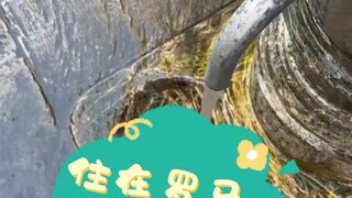 عندما كنت أعيش في روما، لم يكن علي أن أدفع 3 دولارات مقابل جالون من الماء.