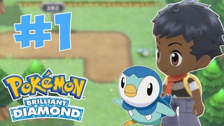 KEMBALI BER NOSTALGIA BERSAMA LUTUNG SI MASTER POKEMON! - POKEMON BRILLIANT DIAMOND #1