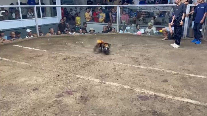 URBAN KNIGHTS 2 3RD FIGHT MUNTINLUPA COLISEUM