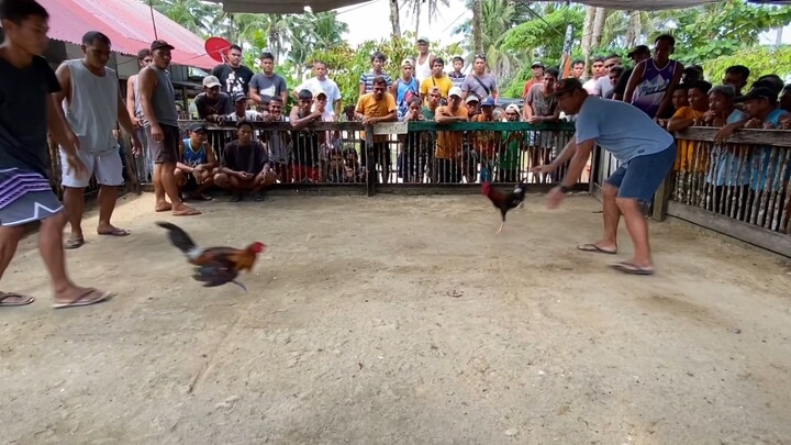 Laro ng may utak