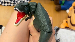 Let me show you my new pet