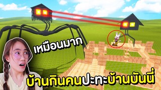 แมงมุมหัวบ้าน VS บ้านบันนี่| Mind&Nat