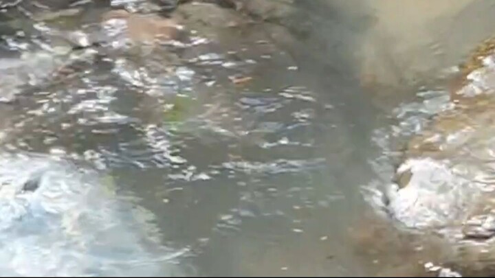 duwali fishing in Nepal |