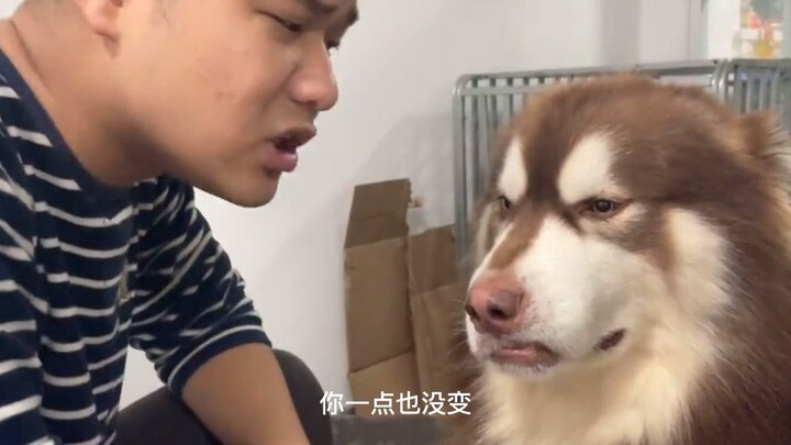 Ai chưa gia nhập hội nuôi chó thì không thể tha thứ!