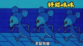 人最大的动力，除了兴趣就是耻辱，猫也不例外。