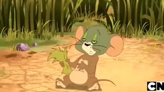 kartun anak Tom and Jerry bahasa indonesia | jerry sick