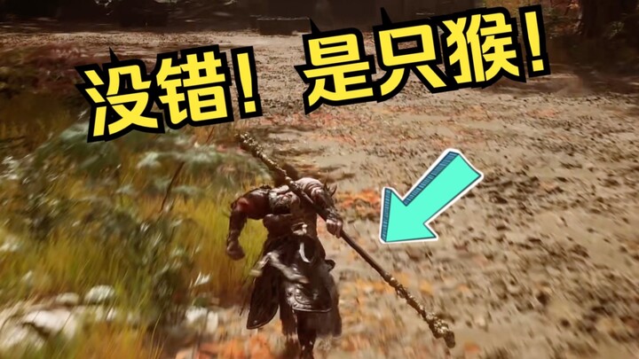 明明是只猴，非说是只狼！