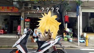 当你闺女贱养时 #父女 #黄毛 #老登 #猫meme #内容过于真实