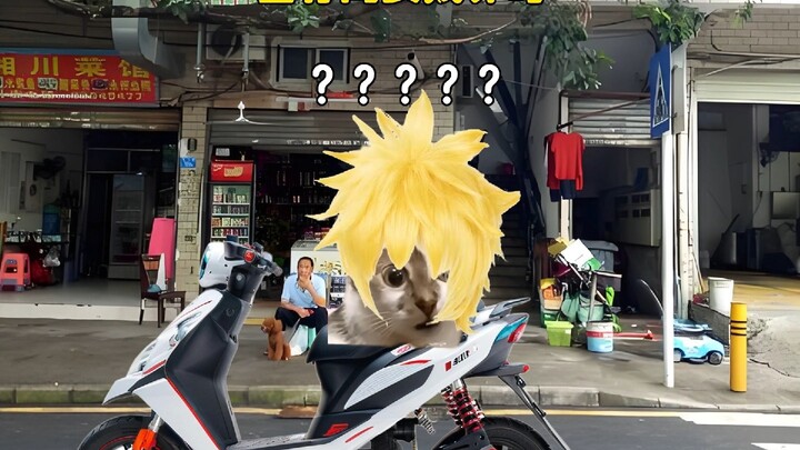 当你闺女贱养时 #父女 #黄毛 #老登 #猫meme #内容过于真实