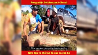 Đi săn con cá hơn 2M ở Amazon Brazil | LT Review