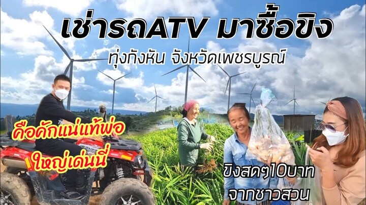 คือคักแท้!! เช่ารถATVมาซื้อขิงนี่นะ สายลุยที่ทุ่งกังหัน