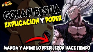 DESTRIPANDO a GOHAN BESTIA 💀| Poder, Origen y Futuro 🔴 Dragon Ball Super: Super Hero