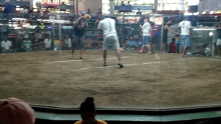 2hits champion Gilmore sweater in action, good fight.