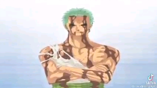 If Zoro was captured