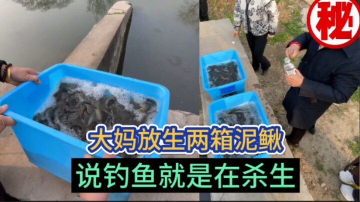 Bibi besar melepaskan dua kotak ikan loach, lalu berkata kepada para pemancing: “Memancing itu sama 