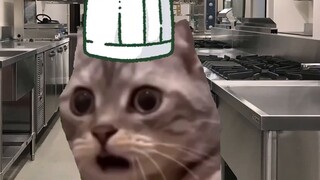 [Meme yang dimasak/kucing] Kegelapan bekerja di restoran barbekyu (1)