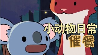 催餐🐨🥗-【小动物日常 | Natural Habitat Shorts】