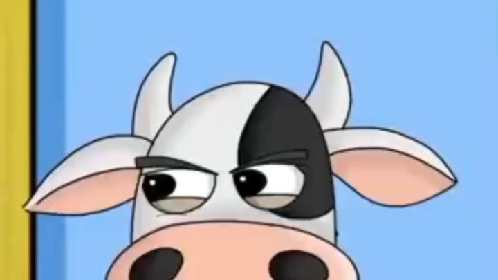 sapi lagi makan siang