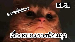เรื่องสยองของน้อนดุก(EP:1)-เพดานนี้มีตุ๊กแก