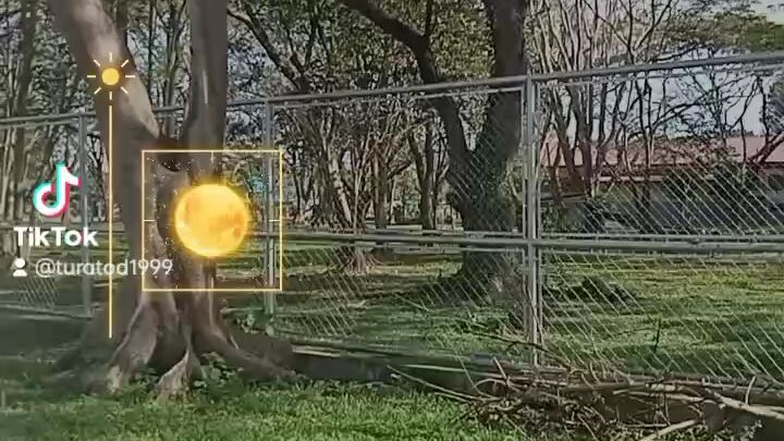 FCC PHILIPPINES clutch lining