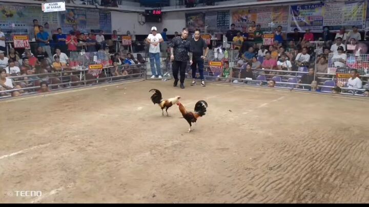 Pasay days, nakasilat ng pa champion kht ilang days lng preparation