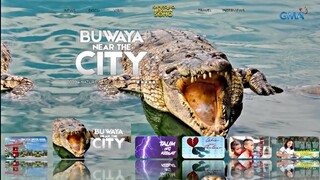Kapuso mo, Jessica Soho: Buwaya near the City Full Episode July 3, 2022 | Kmjs July 3, 2022 #kmjs