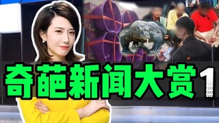 读个标题就能把新闻主播读石化，懂不懂含金量？【慧小媛】