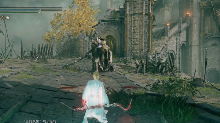 艾尔登法环 当你玩到四周目已经对boss失去了耐心