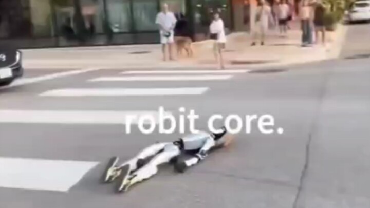 Kumpulan Adegan Gila Robot